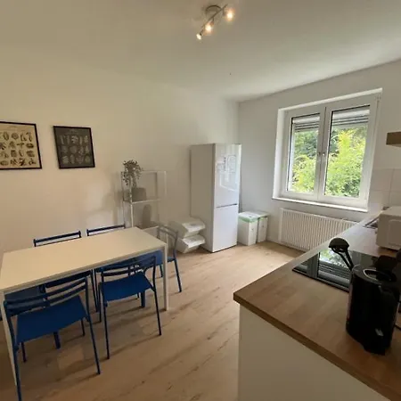 Socha Apartments- Monteurwohnung In 公寓 梅特曼