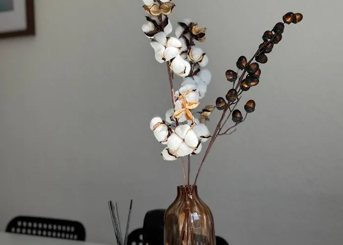 Socha Apartments- Monteurwohnung In *